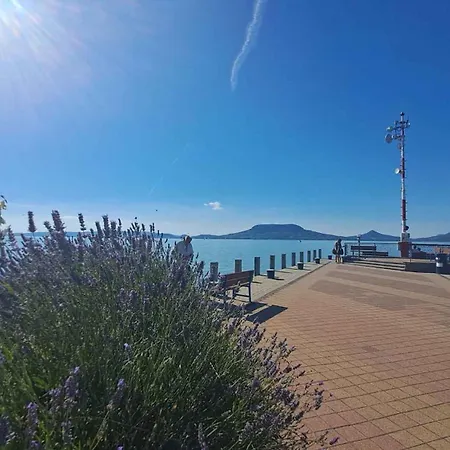 Casa vacanze In Fonyod/balaton 36989 *